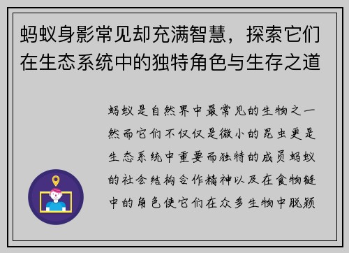 蚂蚁身影常见却充满智慧，探索它们在生态系统中的独特角色与生存之道